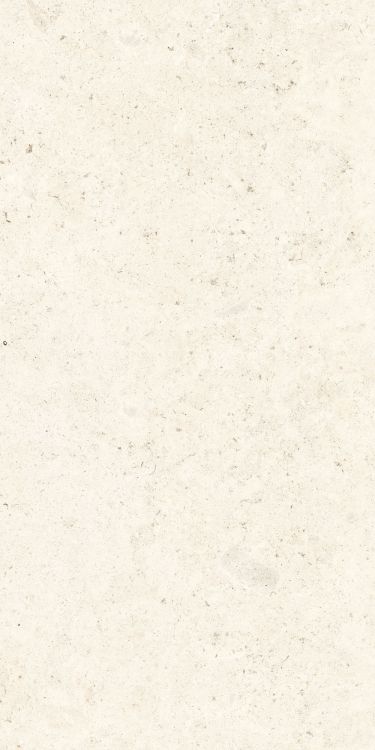 Lightstones.03 Shell Soft Touch 12 x 24